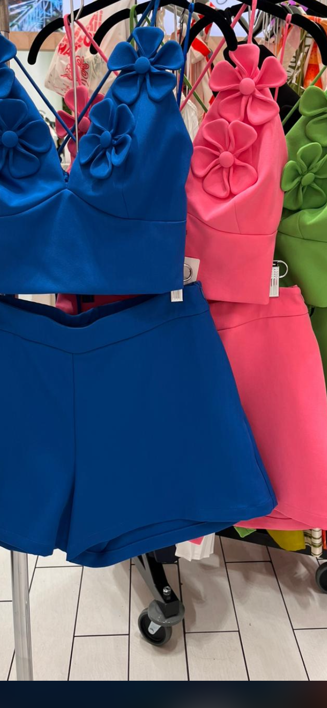 Ensemble Short-Flowers